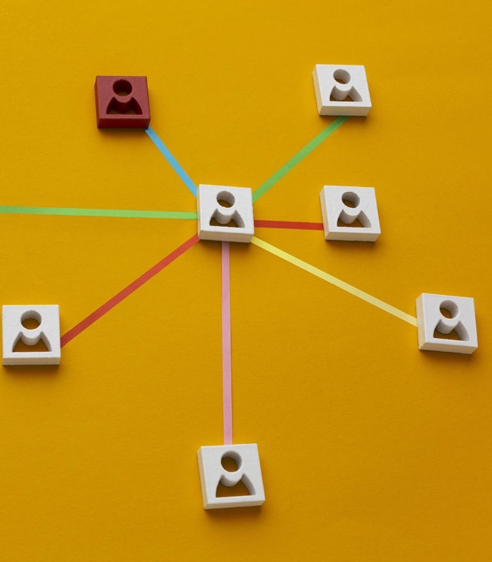 Estructura orgánica